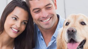 Cuando los animales son una propiedad: ¿qué pasa si me divorcio?