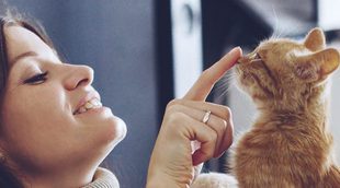 ¿Cómo llamo a mi gato si es macho?