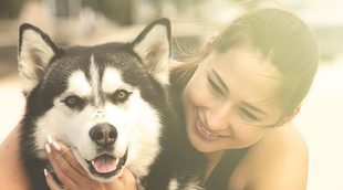 Razas de perro con un pasado sorprendente