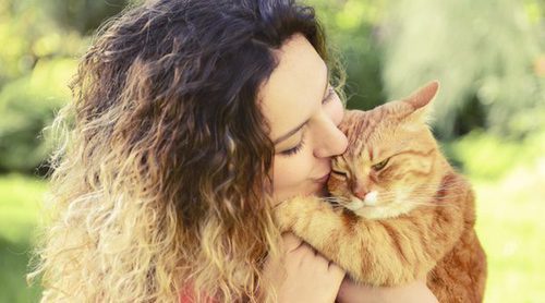 6 cosas que pueden hacer muy feliz a tu gato