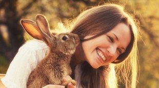 Razas de conejo: ¿cual te quedas como mascota?