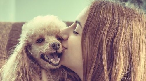 Cómo decirle a tu perro que le quieres
