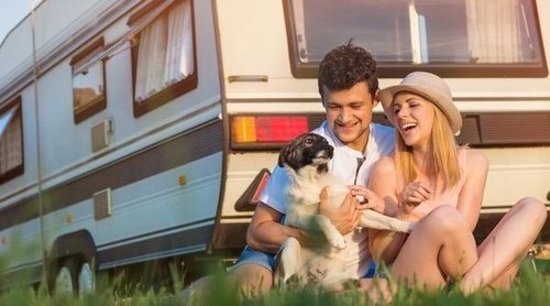 Vacunas y documentos necesarios para viajar con tu perro o gato al extranjero