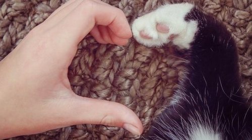 Planes para celebrar San Valentín en pareja y con tu mascota