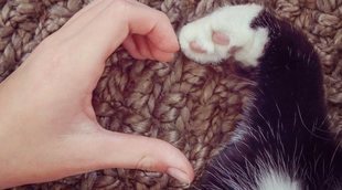 Planes para celebrar San Valentín en pareja y con tu mascota