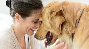 Proyecto PEPO: perros de protección para víctimas de la violencia de género