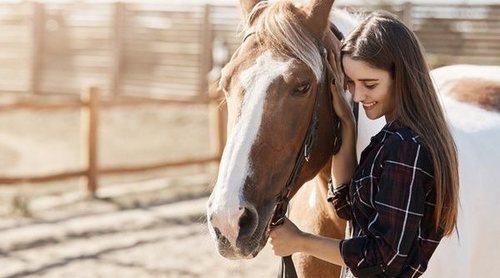 Mantenimiento caballo