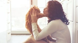 Beneficios de tener un gato